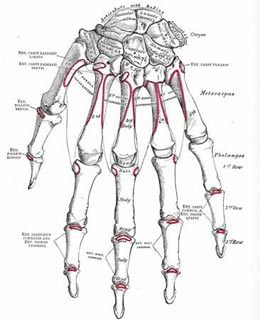 Percutaneous Fracture Treatment
