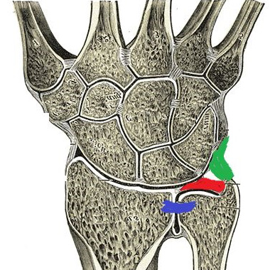 Ulnar Impaction Syndrome Section